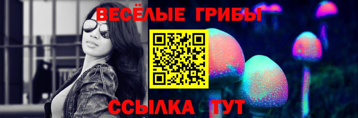 Галлюциногенные грибы GOLDEN TEACHER  купить наркотики сайты  Губаха  Вход с VPN  Галлюциногенные грибы GOLDEN TEACHER 